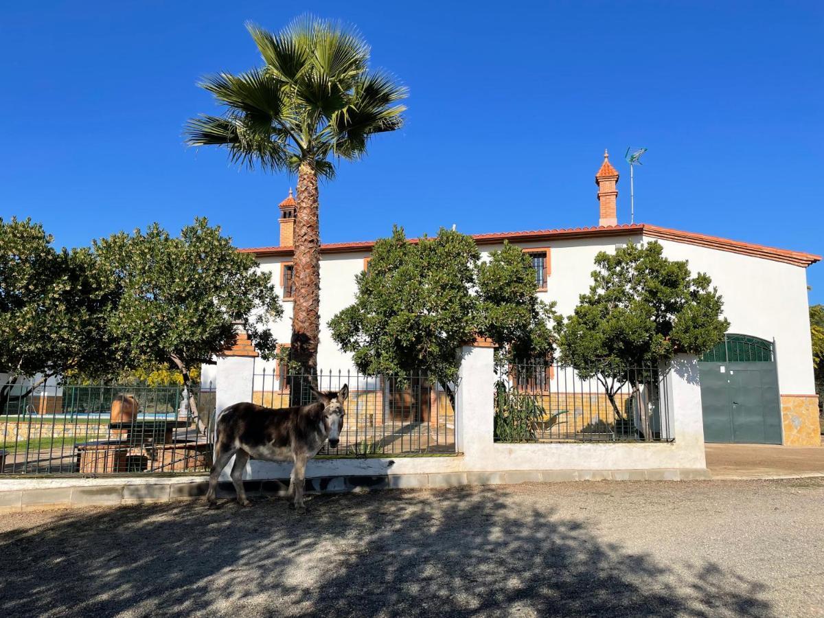 Casa Rural La Galvana Aracena Buitenkant foto